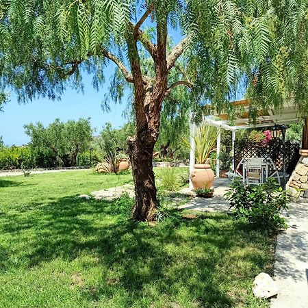 Tarohouse Marina Di Camerota Eksteriør billede