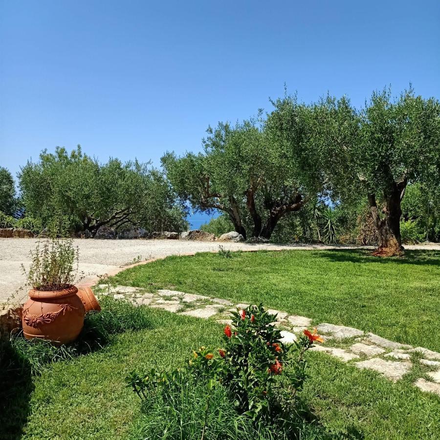 Tarohouse Marina Di Camerota Eksteriør billede